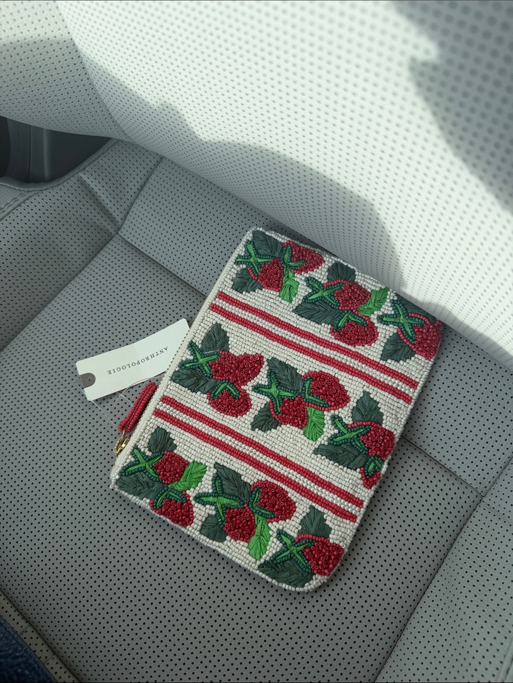 NWT Anthropologie The Fiona Medium Beaded Strawberries Pouch